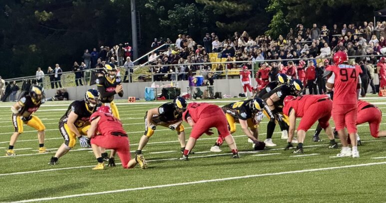 Berlin Adler vs. Spandau Bulldogs